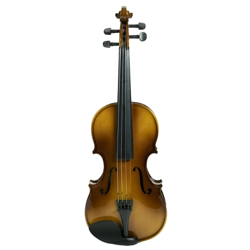 Violino OQAN OV100 4/4