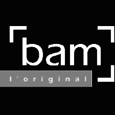 BAM Cases Logo